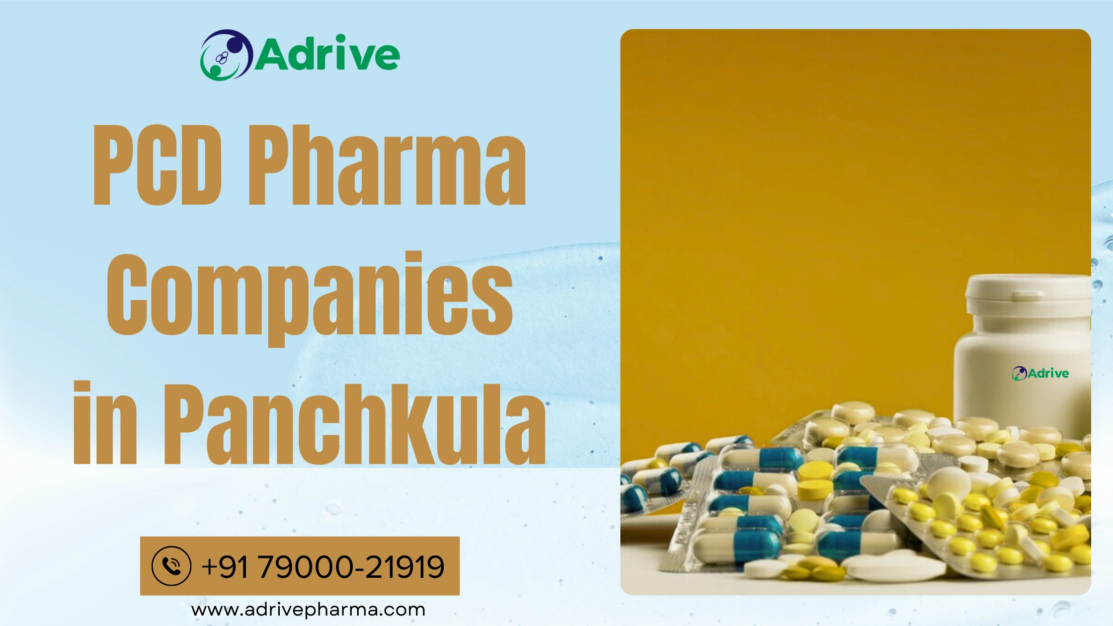 PCD Pharma Companies in Panchkula